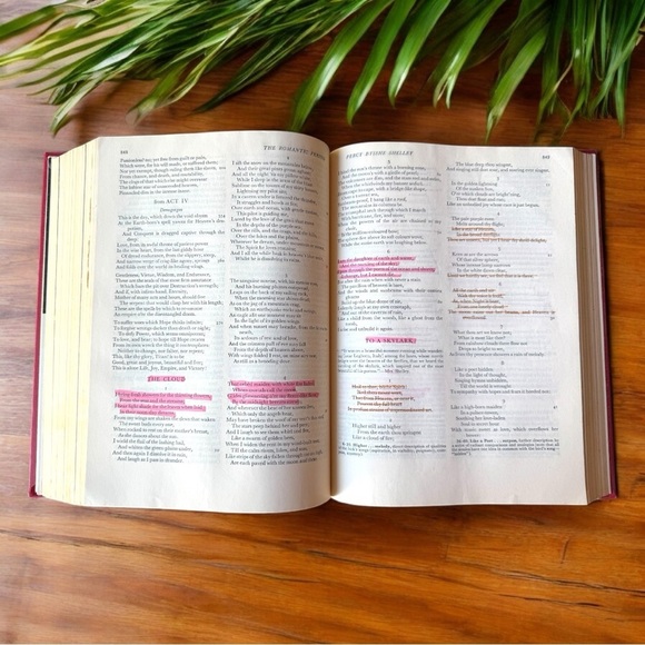 VINTAGE The College Survey of English Literature - Revised Shorter Edition - Picture 13 of 14